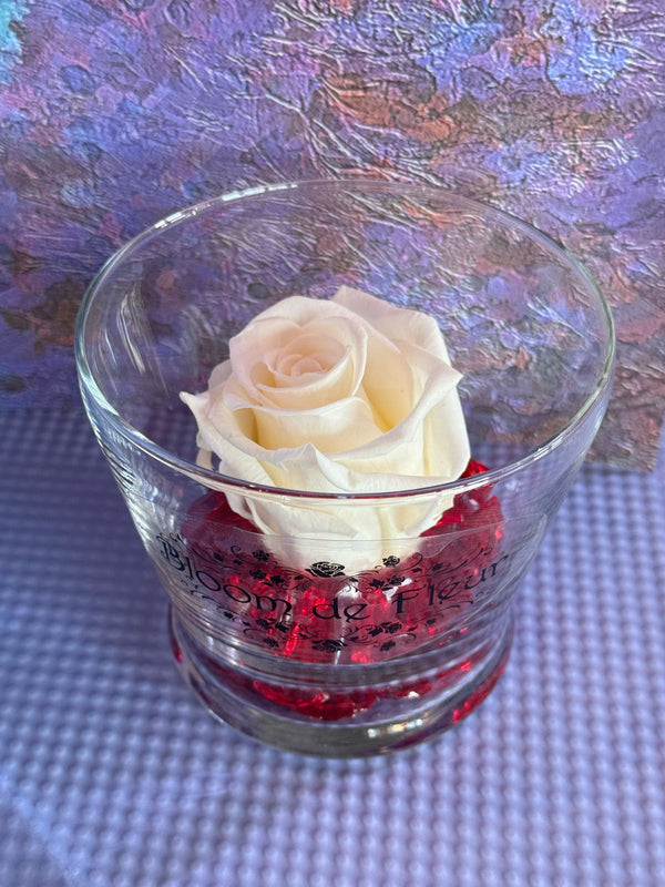 Single Rose - Forever White
