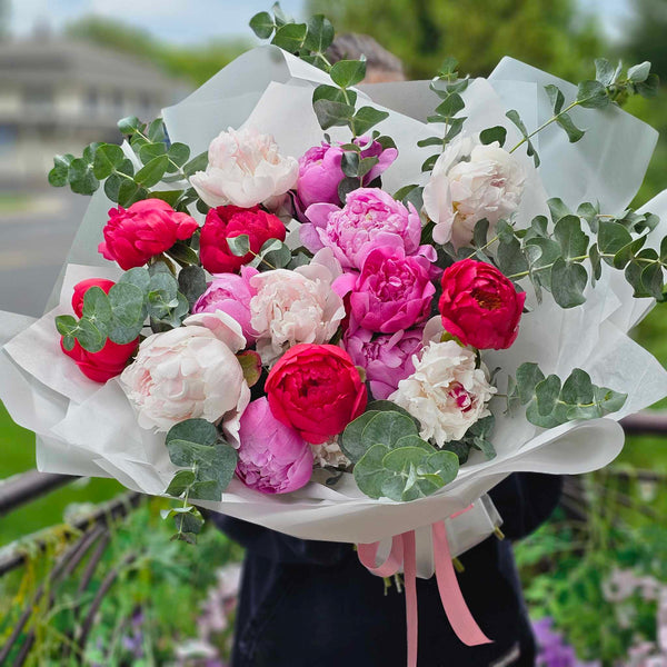 Hand-tied bouquet of deep red, hot pink and blush peonies with eucalyptus sprigs, wrapped in white tissue paper.