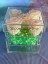 Infinity N°.5 with Drawer - Forever Roses - White