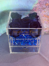 Infinity N°.5 with Drawer - Forever Roses - Elecrtic Blue