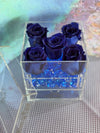 Infinity N°.5 with Drawer - Forever Roses - Elecrtic Blue