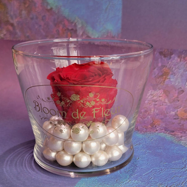 Single Rose - Forever Red