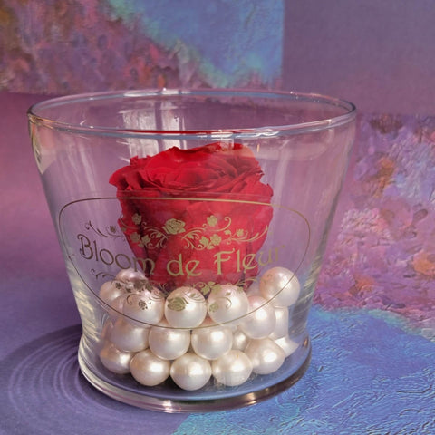 Single Rose - Forever Red