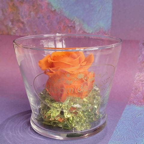 Single Rose - Forever Orange