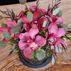 A matte black round gift box with a gold “Bloom de Fleur” logo and black rope handles sits on a wood‐grain tabletop, overflowing with large mauve‑pink cymbidium orchids, silvery eucalyptus leaves, and slender deep burgundy foliage; in the background, a black chair and a pale wall striped in cream and gray add subtle contrast.