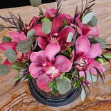 Petite - Seven Pink Orchids