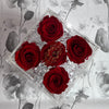 Infinity N°.5 with Drawer - Forever Roses - Red