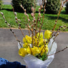 Bouquet - Easter tulips