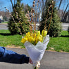 Bouquet - Easter tulips