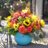 Pumpkin -Orange Crush - Bloom de Fleur