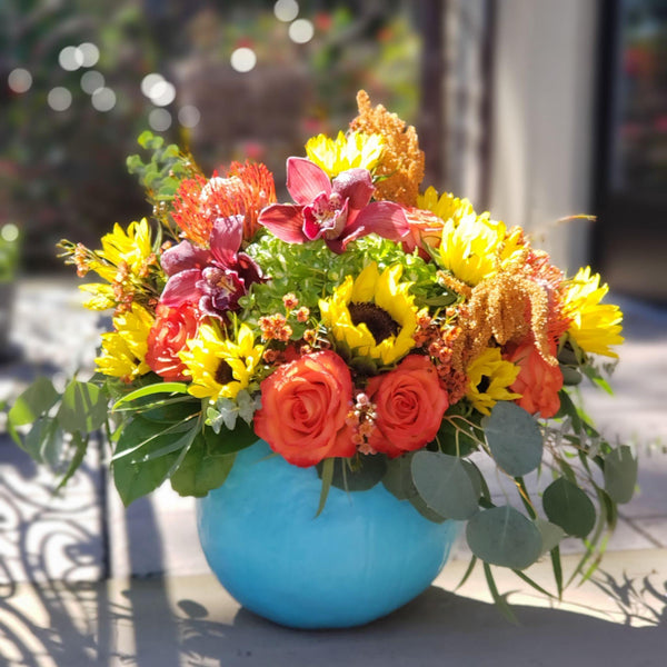 Pumpkin -Orange Crush - Bloom de Fleur
